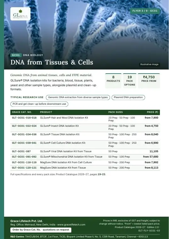 DNA Biology — flyer 3 of 9