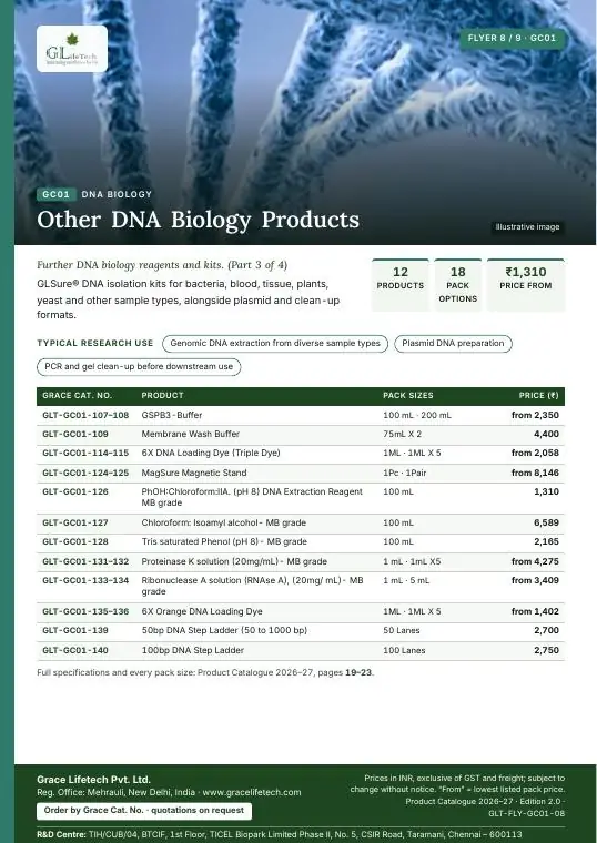 DNA Biology — flyer 8 of 9