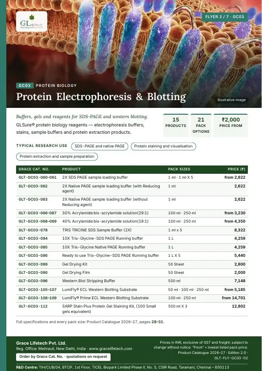 Protein Biology — flyer 2 of 7