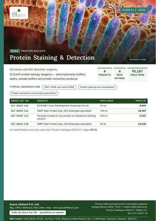 Protein Biology — flyer 3 of 7
