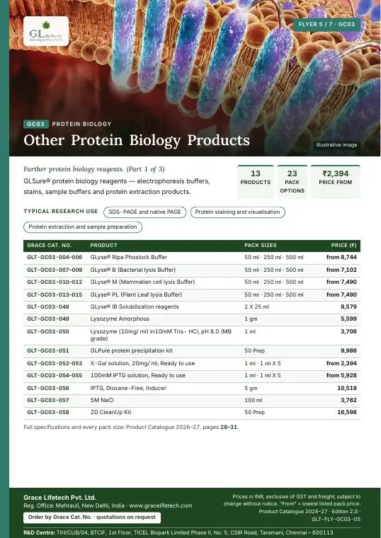Protein Biology — flyer 5 of 7
