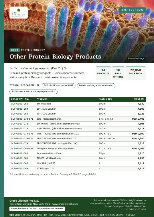 Protein Biology — flyer 6 of 7