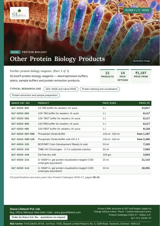 Protein Biology — flyer 7 of 7