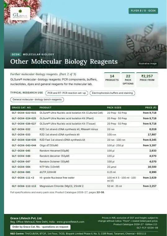 Molecular Biology — flyer 8 of 9
