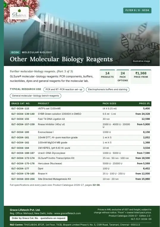 Molecular Biology — flyer 9 of 9