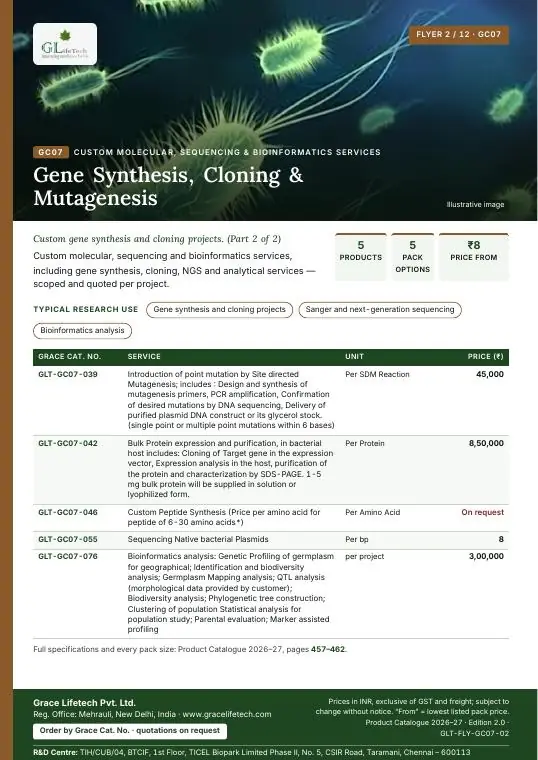 Custom Molecular, Sequencing & Bioinformatics Services — flyer 2 of 12