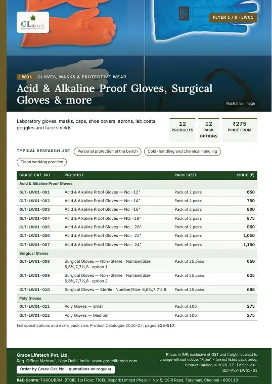 Gloves, Masks & Protective Wear flyer