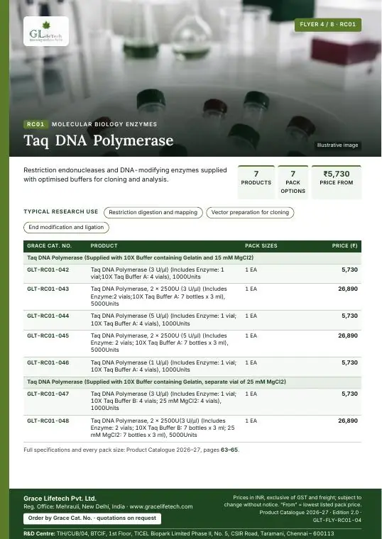 Molecular Biology Enzymes — flyer 4 of 8