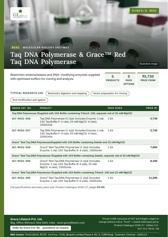Molecular Biology Enzymes — flyer 6 of 8