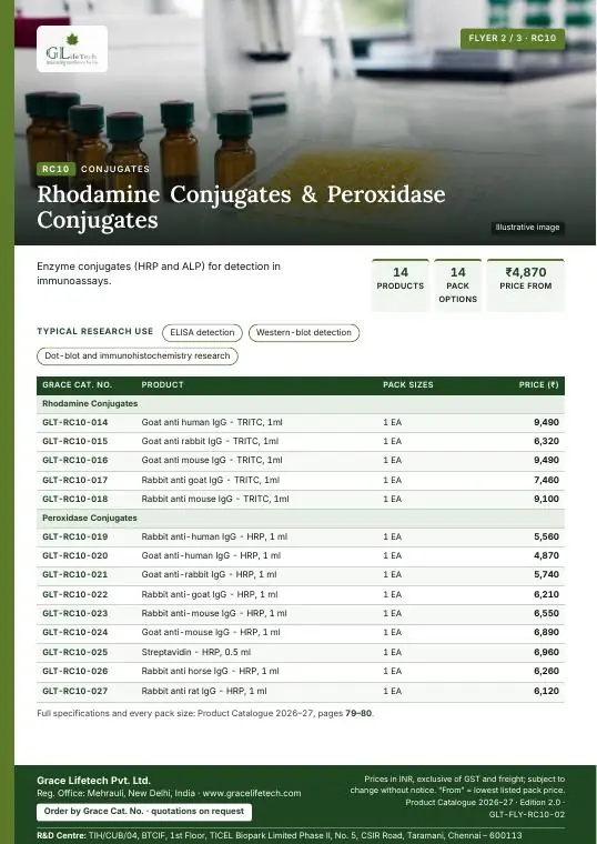 Conjugates — flyer 2 of 3