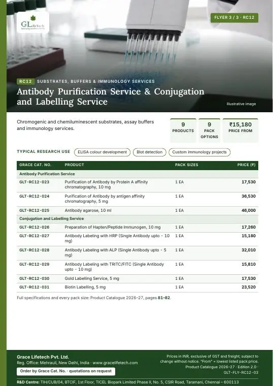 Substrates, Buffers & Immunology Services — flyer 3 of 3