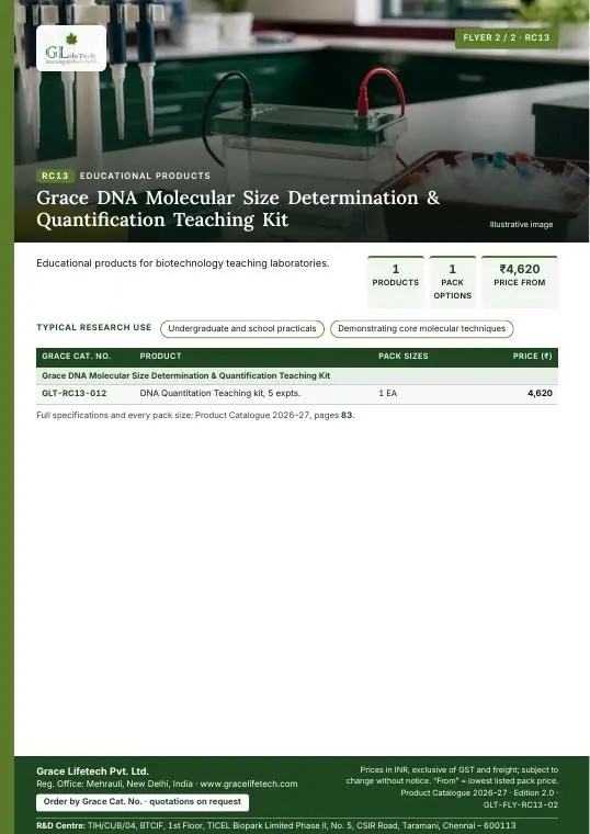 Educational Products — flyer 2 of 2