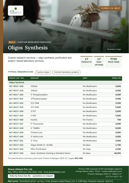 Custom Research Services — flyer 2 of 6
