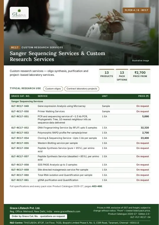 Custom Research Services — flyer 4 of 6