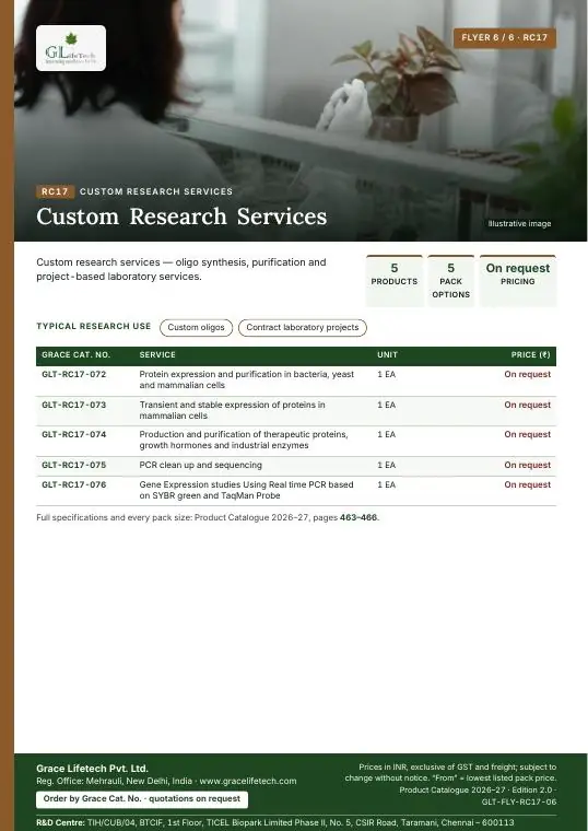 Custom Research Services — flyer 6 of 6