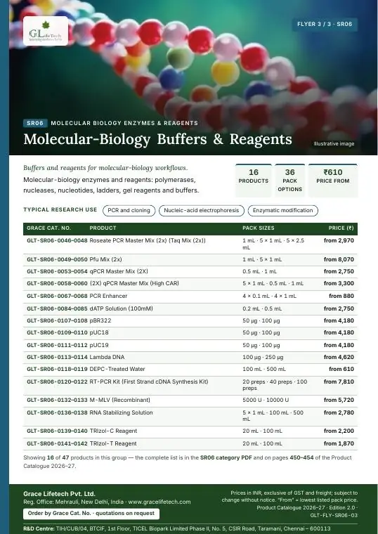 Molecular Biology Enzymes & Reagents — flyer 3 of 3